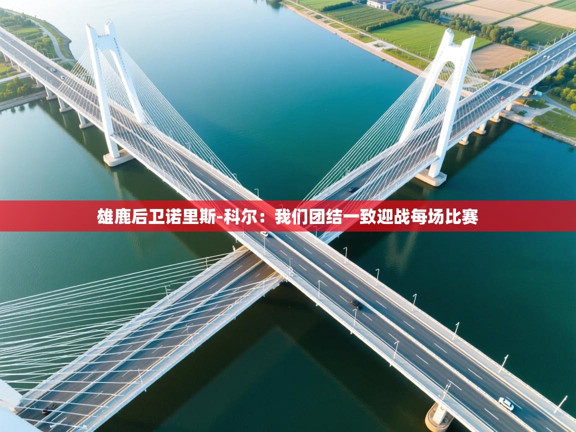 开云体育在线网址-雄鹿后卫诺里斯-科尔：我们团结一致迎战每场比赛