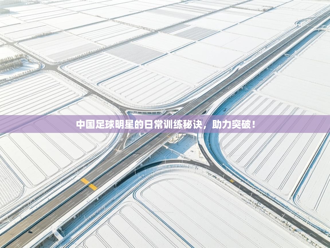 开云体育修改登录密码-中国足球明星的日常训练秘诀，助力突破！