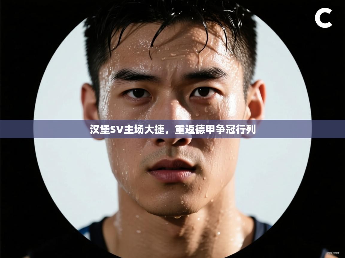 开云体育夜间模式开启-汉堡SV主场大捷，重返德甲争冠行列  第2张