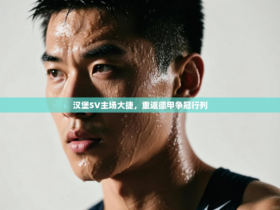 开云体育夜间模式开启-汉堡SV主场大捷，重返德甲争冠行列  第3张