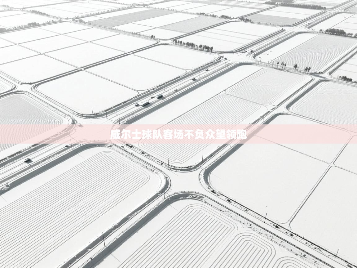 开云体育在线玩-威尔士球队客场不负众望领跑