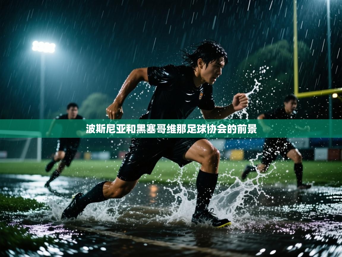 开云体育app安装-波斯尼亚和黑塞哥维那足球协会的前景